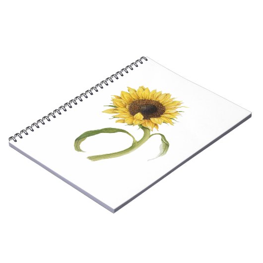 Carnet tourbillon de tournesol (Côté gauche)