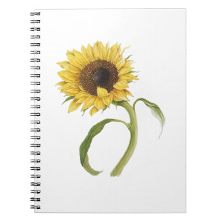 Carnet tourbillon de tournesol