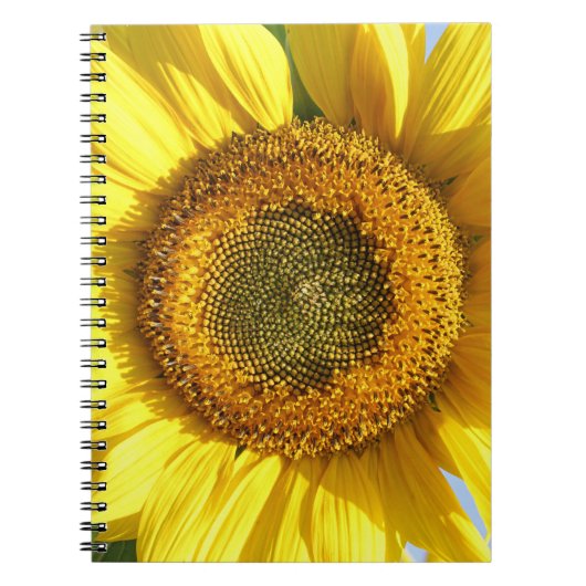 Carnet tournesol (Devant)