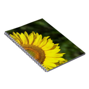 Carnet Tournesol