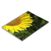 Carnet Tournesol (Côté gauche)