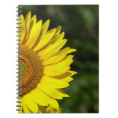 Carnet Tournesol (Devant)