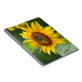 Carnet tournesol (Côté Droit)