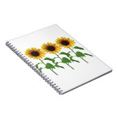 Carnet tournesol (Côté Droit)