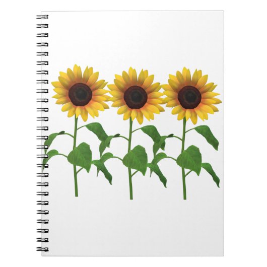 Carnet tournesol (Devant)