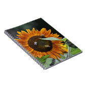 Carnet tournesol (Côté Droit)