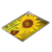 Carnet Tournesol (Côté gauche)