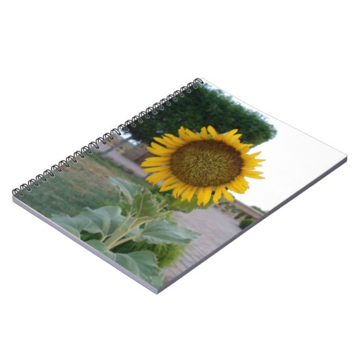 Carnet Tournesol (Côté gauche)