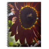 Carnet tournesol (Devant)