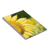 Carnet Tournesol (Côté Droit)