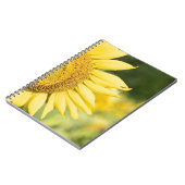 Carnet Tournesol (Côté gauche)