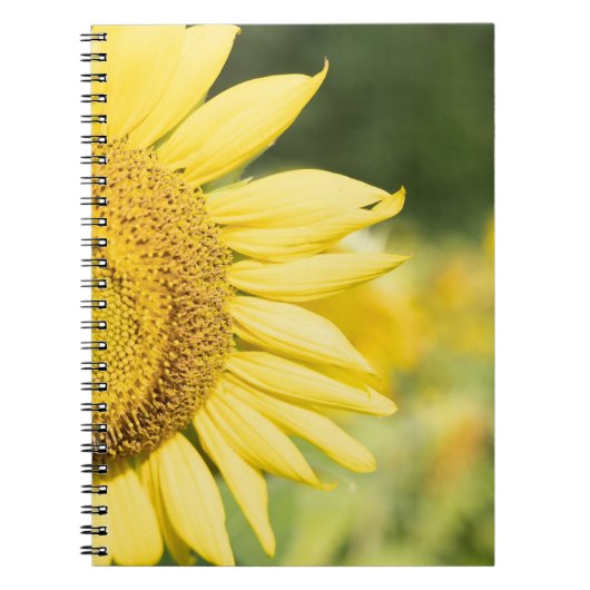 Carnet Tournesol (Devant)