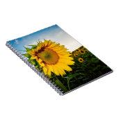 Carnet Tournesol (Côté Droit)