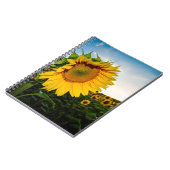 Carnet Tournesol (Côté gauche)