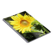 Carnet tournesol (Côté Droit)