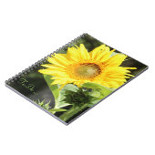 Carnet tournesol (Côté gauche)