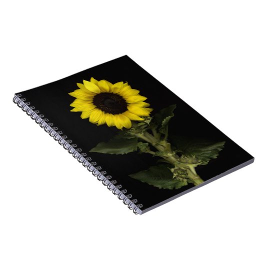 Carnet Tournesol 11 (Côté Droit)