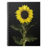 Carnet Tournesol 11 (Devant)