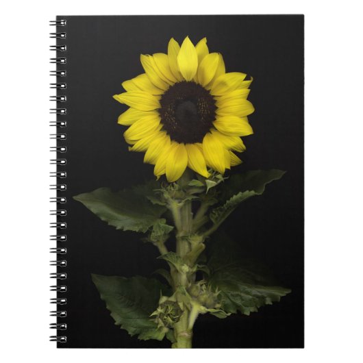 Carnet Tournesol 11 (Devant)