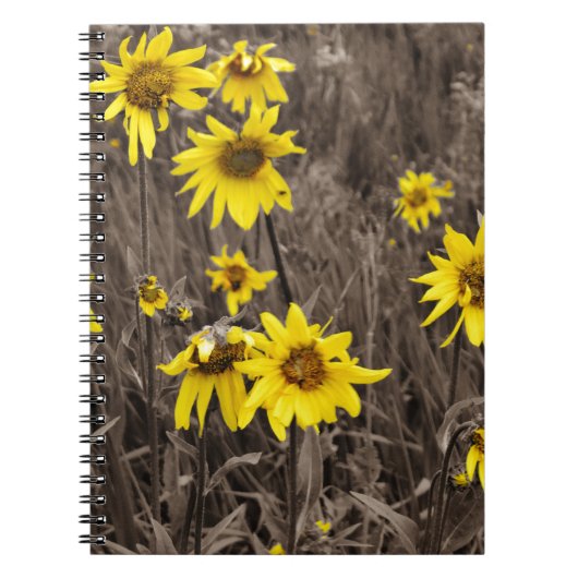 Carnet Tournesol dans la Montagne Rocheuse (Devant)