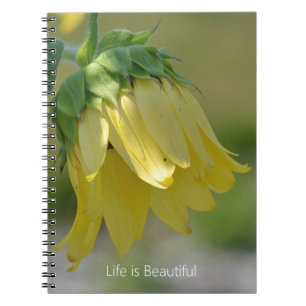 Carnet Tournesol de jardin jaune (ma photographie)