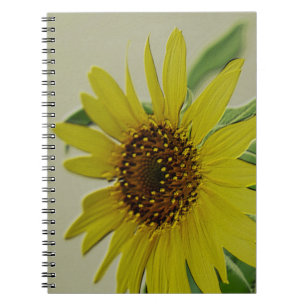 Carnet Tournesol de relief