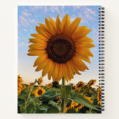 Carnet tournesol | Inspiration de la fleur (Dos)