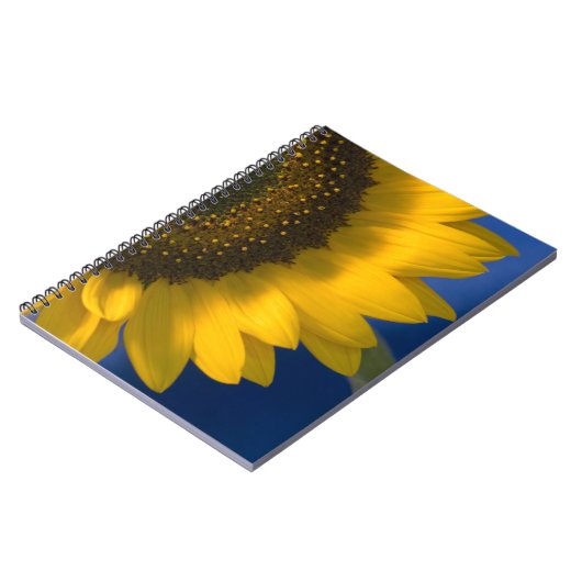 Carnet Tournesol jaune sur bleu (Côté gauche)