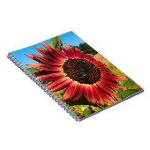 Carnet Tournesol rouge avec abeille (Côté Droit)