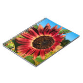 Carnet Tournesol rouge avec abeille (Côté gauche)