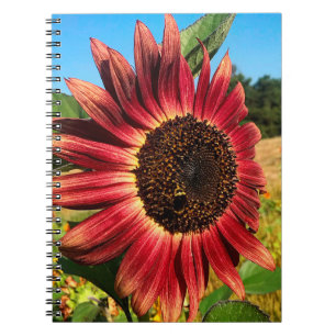 Carnet Tournesol rouge avec abeille