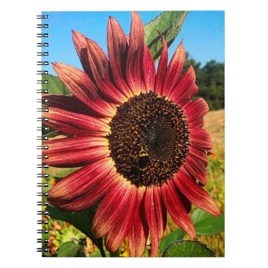 Carnet Tournesol rouge avec abeille (Devant)