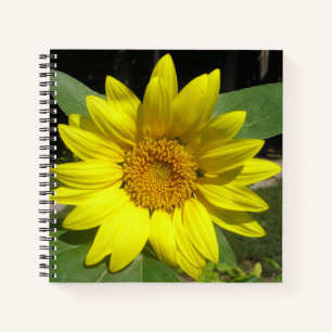 Carnet Tournesol unique