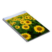 Carnet Tournesols (Côté Droit)