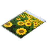 Carnet Tournesols (Côté gauche)
