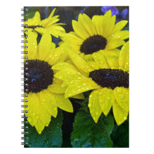 CARNET TOURNESOLS MAGNIFIQUES DE JARDIN
