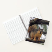 Carnet Tous les sourires (Intérieur)