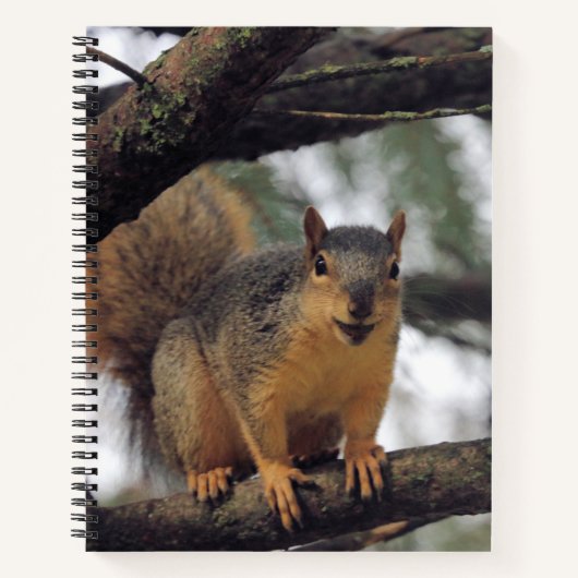 Carnet Tous les sourires (Devant)