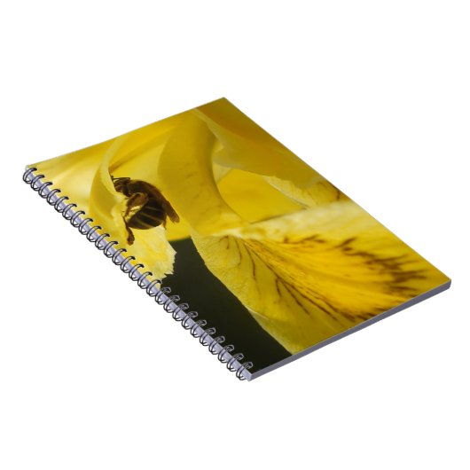 Carnet Tout Est Jaune (Côté Droit)