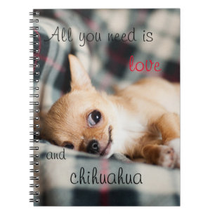 Carnet Tout que vous avez besoin est amour et chiwawa
