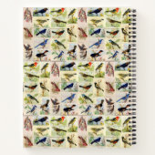 Carnet Toutes sortes d'oiseaux (Dos)