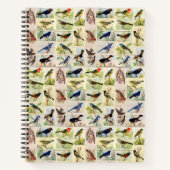Carnet Toutes sortes d'oiseaux (Devant)