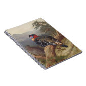 Carnet Tragopan occidental, Illustrations d'oiseaux (Côté Droit)