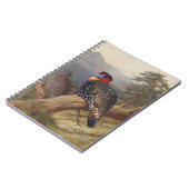 Carnet Tragopan occidental, Illustrations d'oiseaux (Côté gauche)