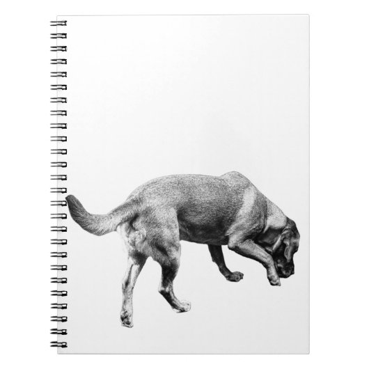 Carnet Trails & Tails (Devant)