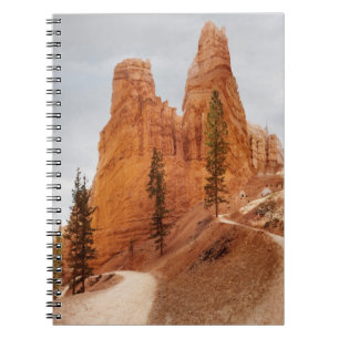 Carnet Traînée de boucle de Navajo, canyon de Bryce