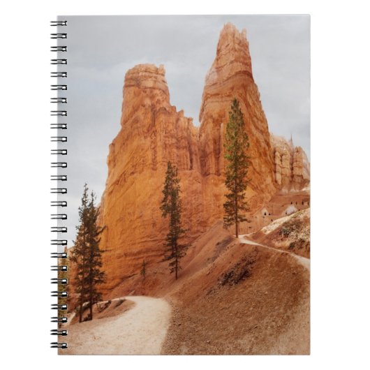 Carnet Traînée de boucle de Navajo, canyon de Bryce (Devant)