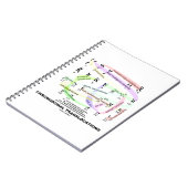 Carnet Translocations chromosomiques (Karyogramme) (Côté gauche)