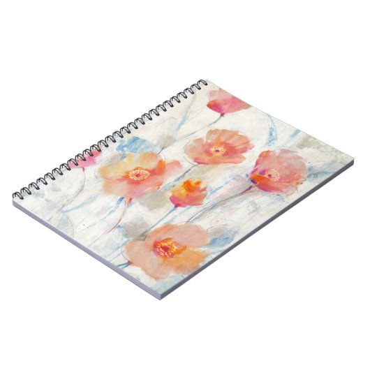 Carnet Translucide II (Côté gauche)