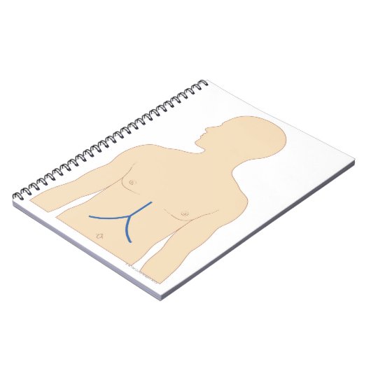 Carnet Transplantation du foie (Côté gauche)